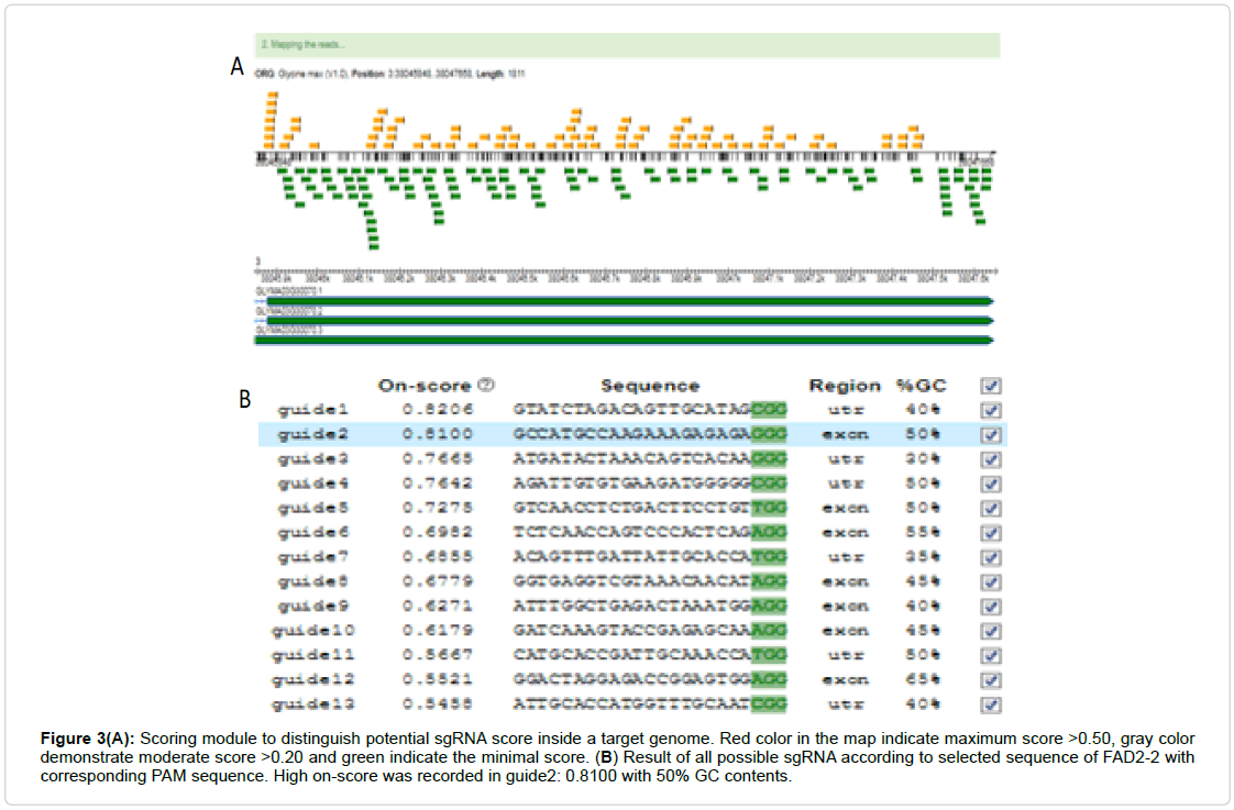 applied-bioinformatics-biology-Scoring-module