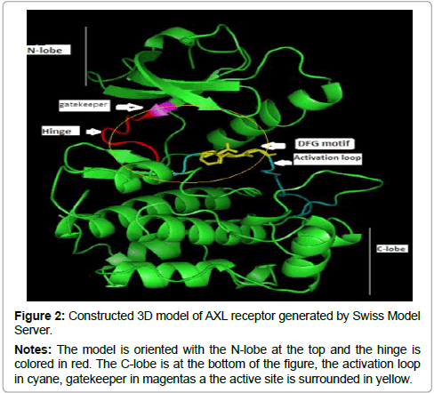 applied-bioinformatics-biology-Swiss-Model