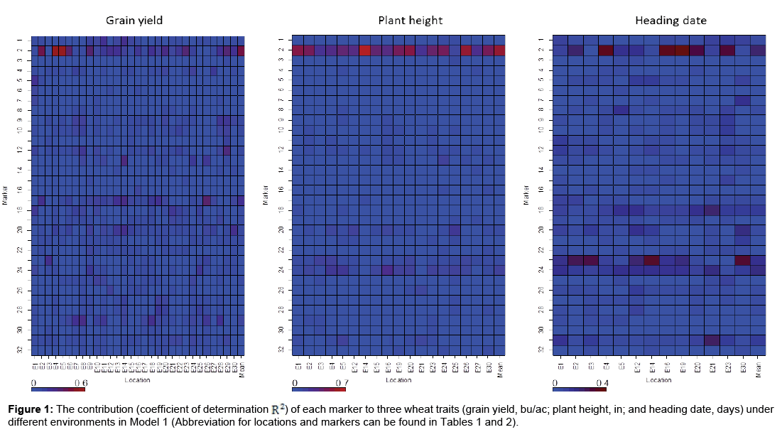 applied-bioinformatics-biology-grain-yield