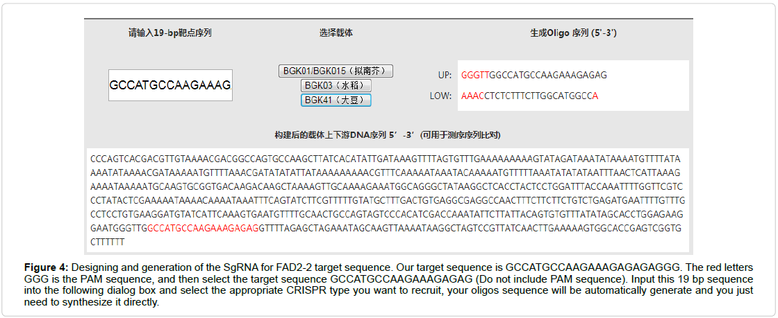 applied-bioinformatics-biology-oligos-sequence