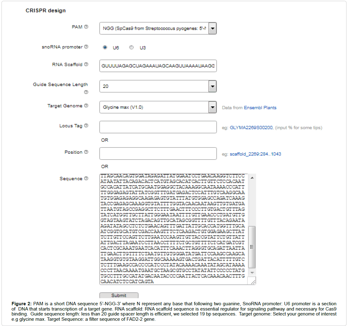 applied-bioinformatics-biology-scaffold-sequence