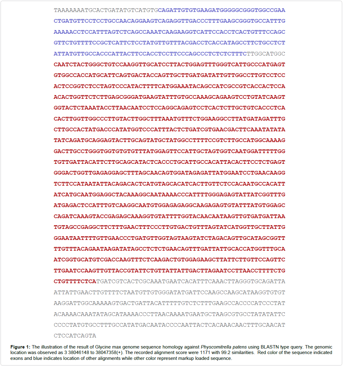 applied-bioinformatics-biology-sequence-homology