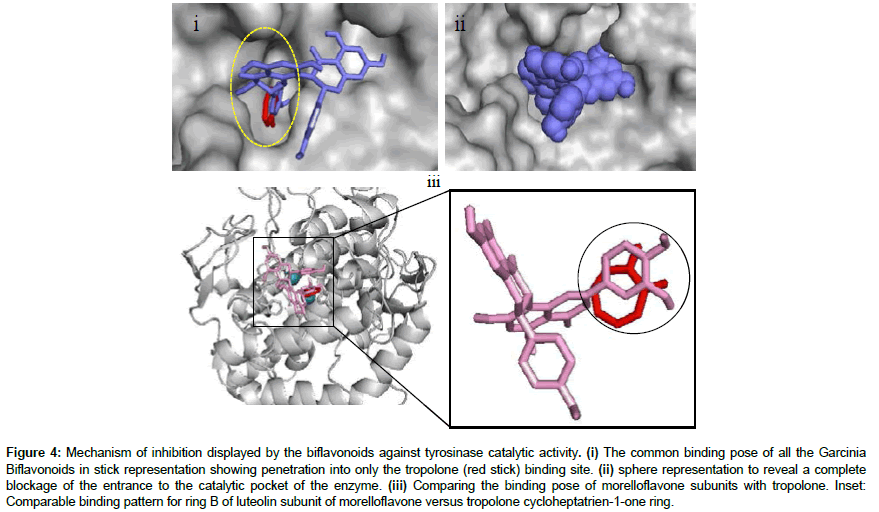 applied-bioinformatics-catalytic-activity