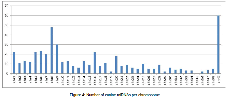 applied-bioinformatics-chromosome