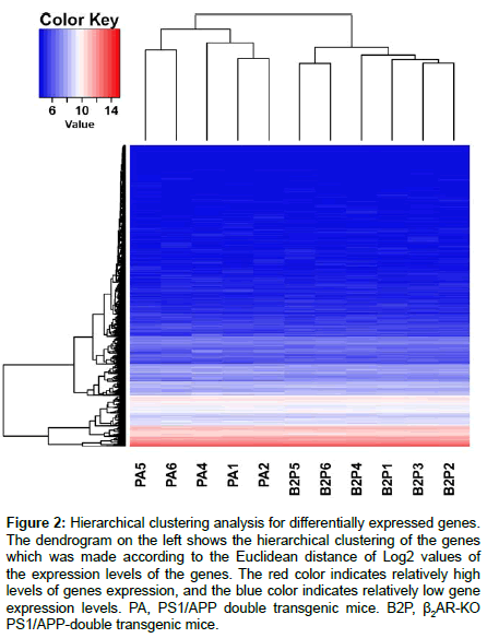 applied-bioinformatics-clustering-analysis