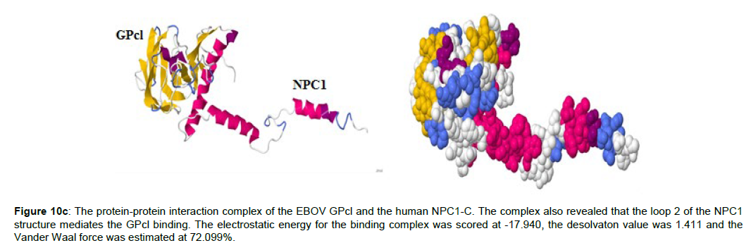 applied-bioinformatics-computational-binding-complex