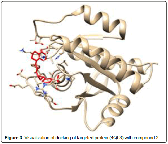 applied-bioinformatics-computational-biology-Visualization-docking