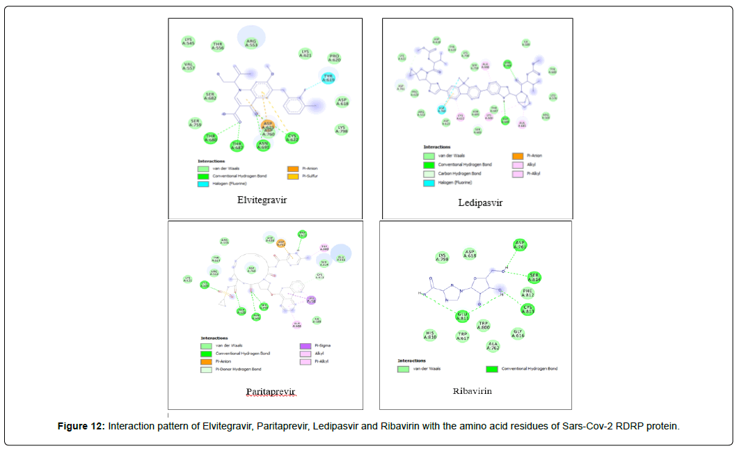 applied-bioinformatics-computational-biology-amino-acid