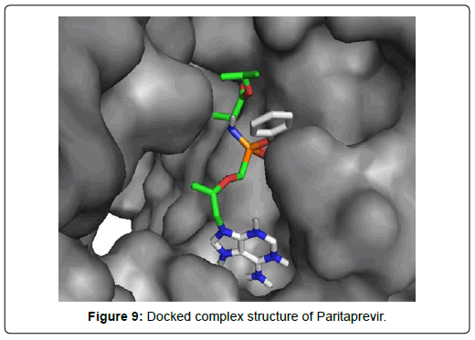 applied-bioinformatics-computational-biology-docked-complex