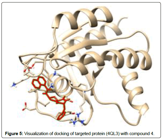 applied-bioinformatics-computational-biology-docking