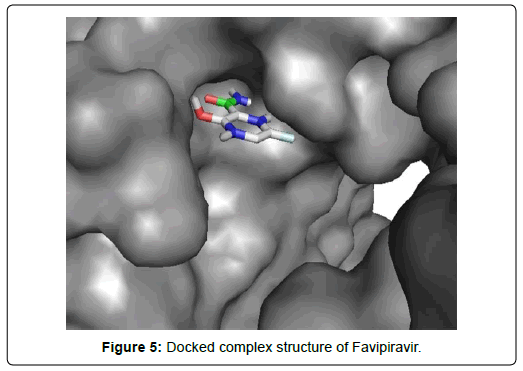 applied-bioinformatics-computational-biology-favipiravir