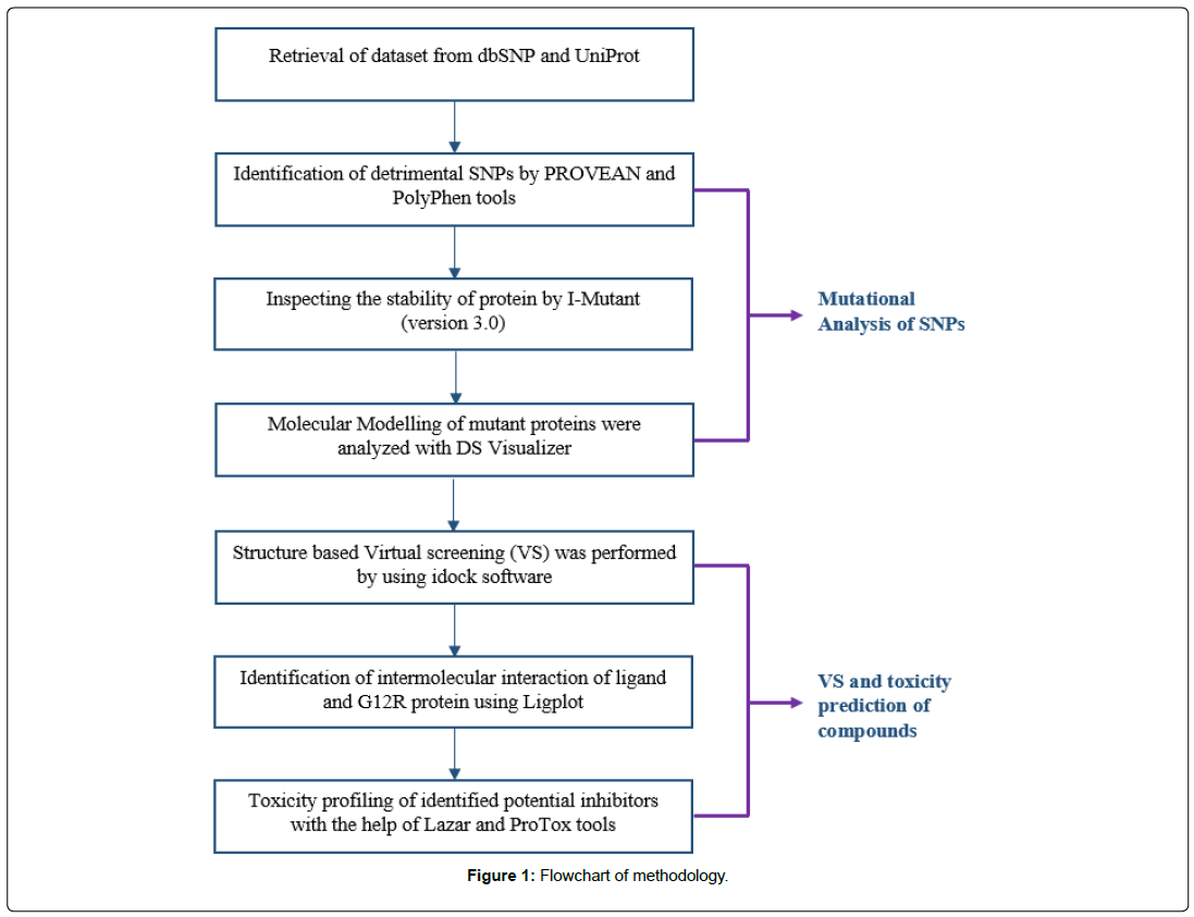 applied-bioinformatics-computational-biology-flowchart-methodology