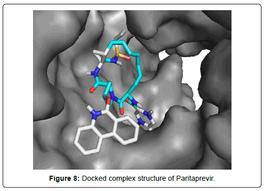 applied-bioinformatics-computational-biology-paritaprevir