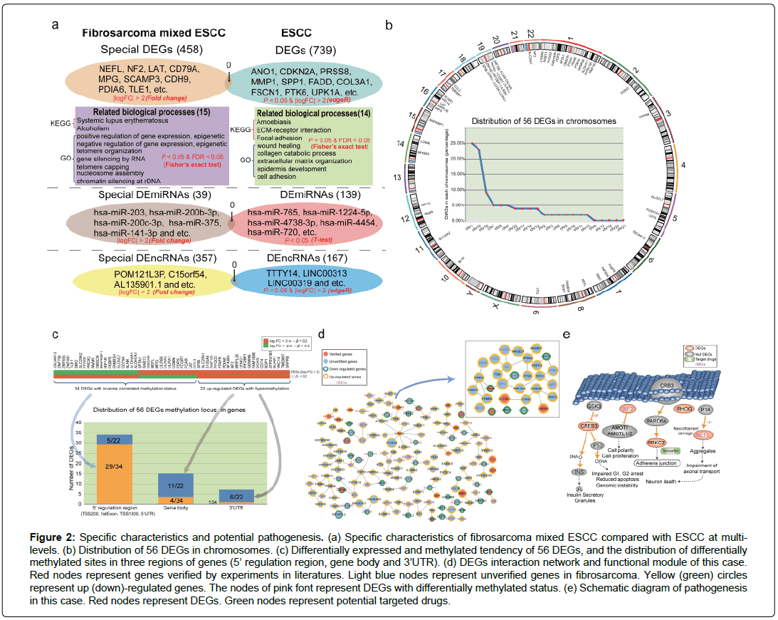 applied-bioinformatics-computational-biology-potential-pathogenesis