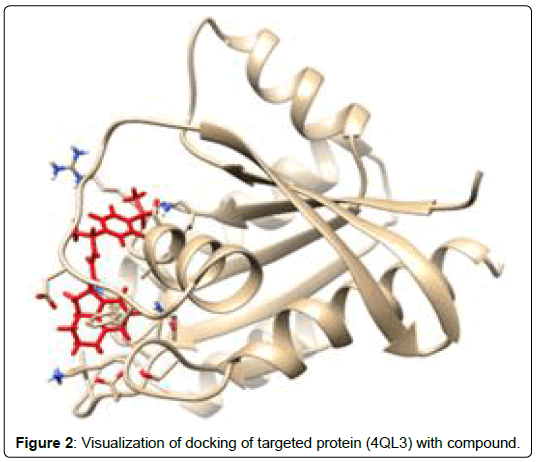 applied-bioinformatics-computational-biology-targeted-protein