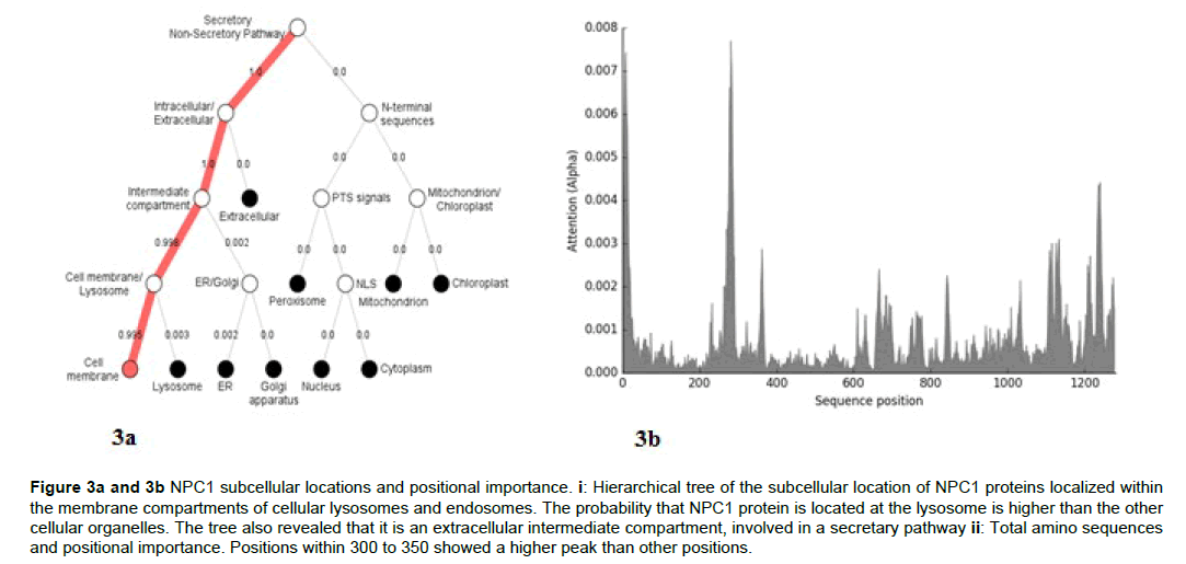 applied-bioinformatics-computational-positional-importance