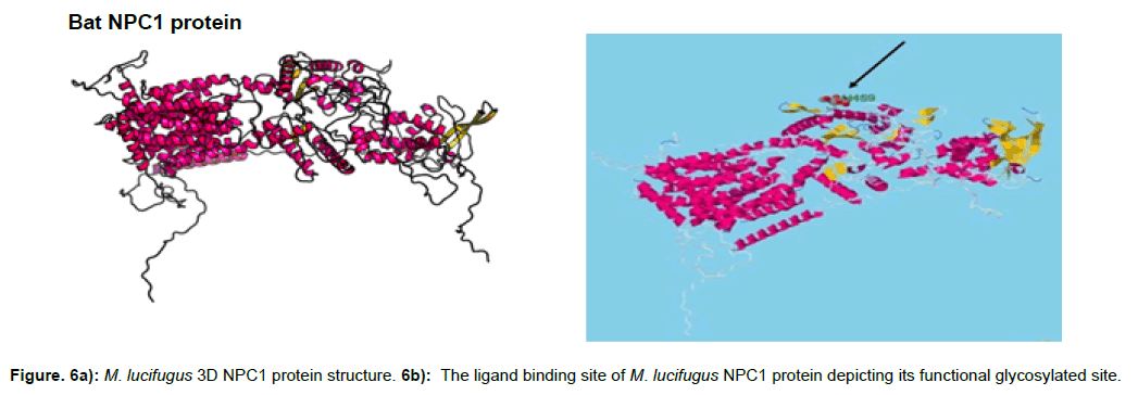 applied-bioinformatics-computational-protein-binding