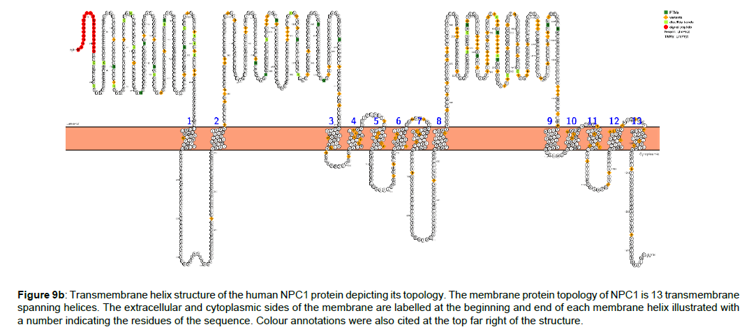applied-bioinformatics-computational-protein-topology