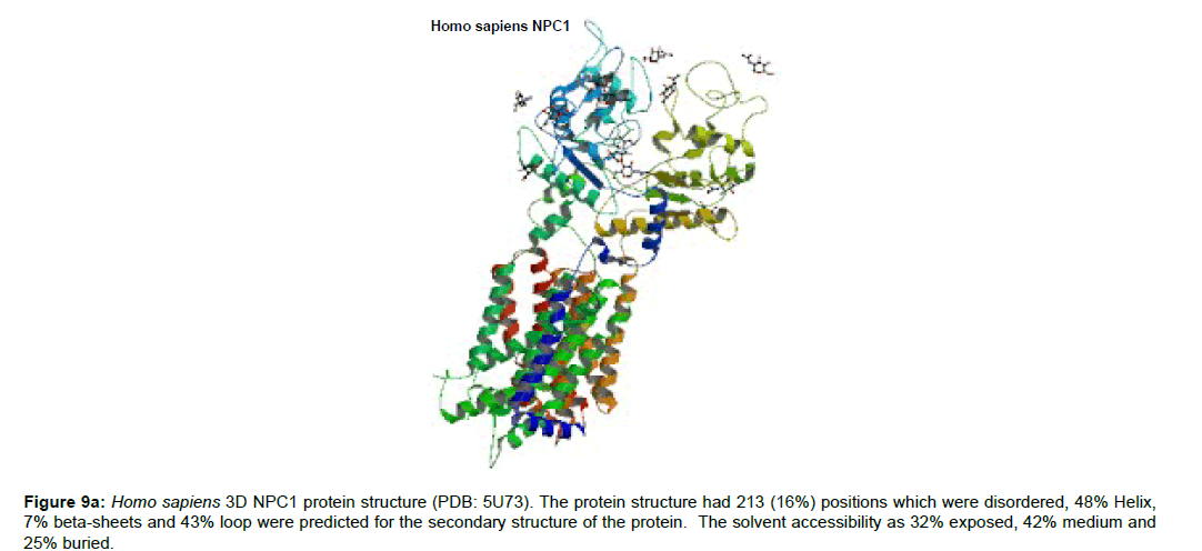 applied-bioinformatics-computational-secondary-structure