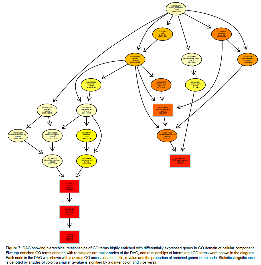 applied-bioinformatics-darker-color