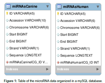 applied-bioinformatics-data-organized