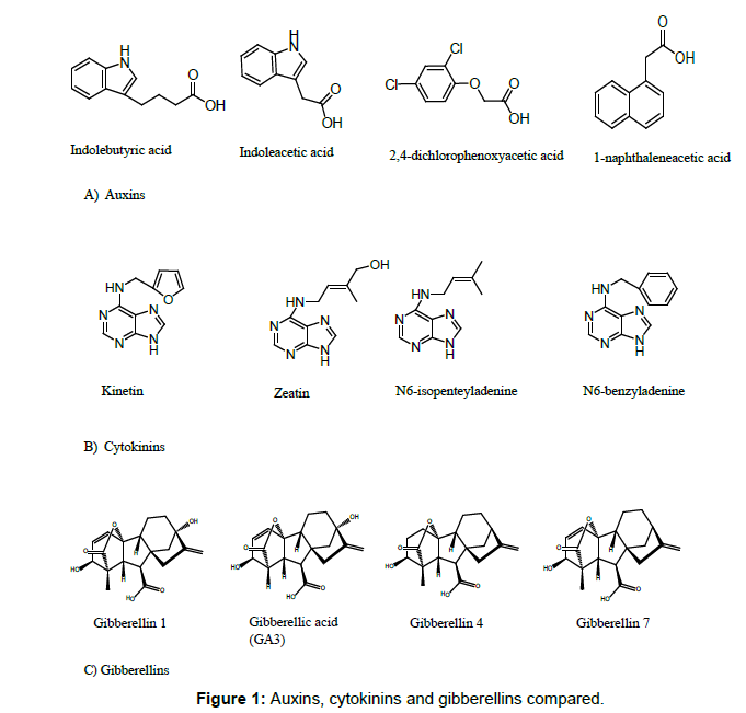 applied-bioinformatics-gibberellins