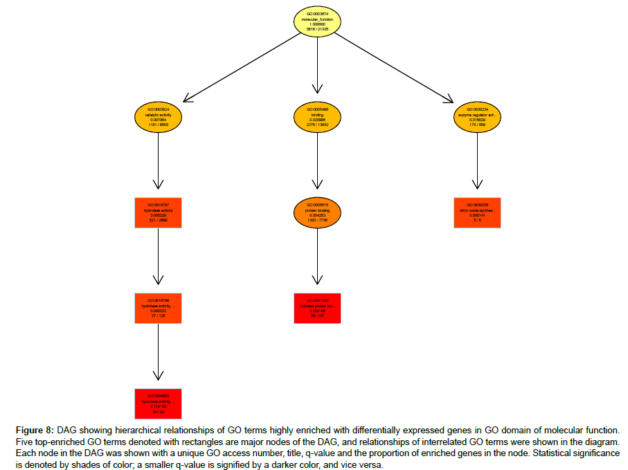 applied-bioinformatics-highly-enriched