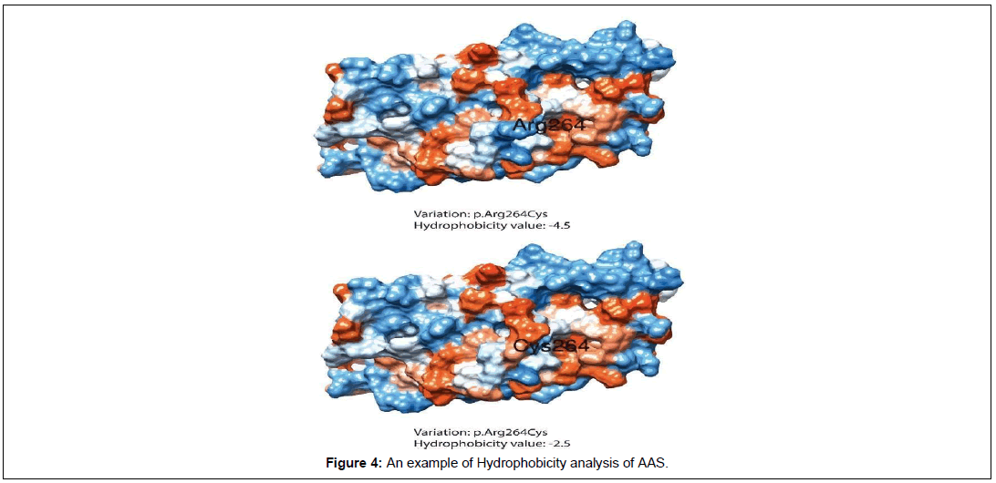 applied-bioinformatics-hydrophobicity-analysis