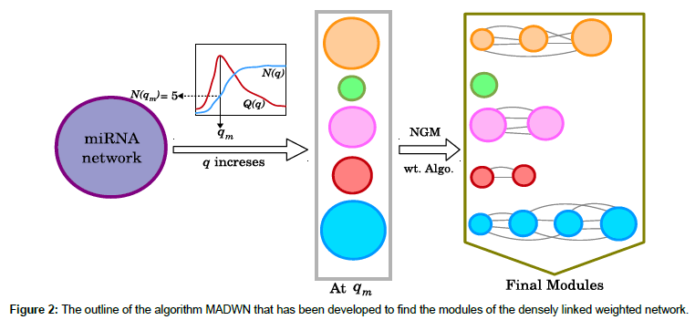 applied-bioinformatics-linked-weighted