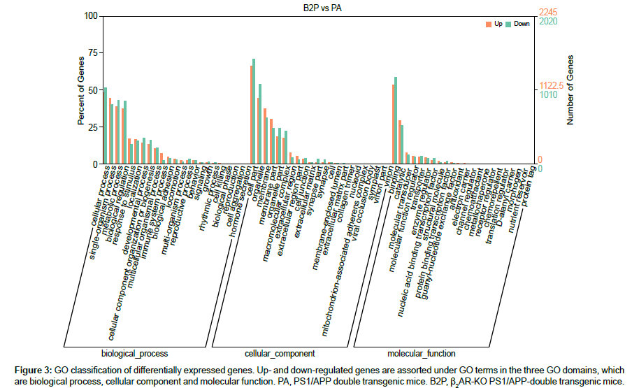 applied-bioinformatics-molecular-function