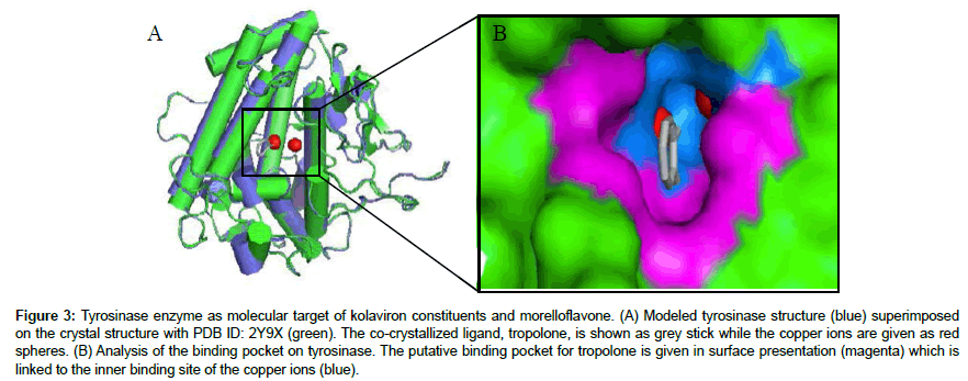 applied-bioinformatics-molecular-target