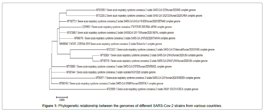 applied-bioinformatics-phylogenetic-relationship