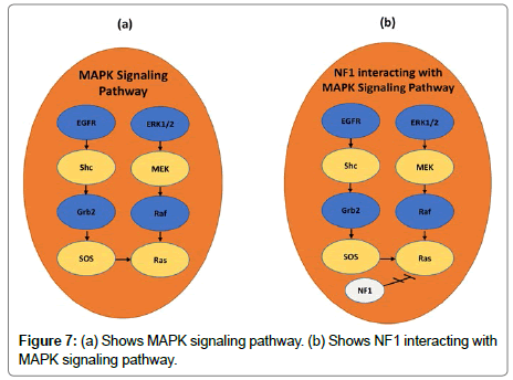 applied-bioinformatics-signaling-pathway