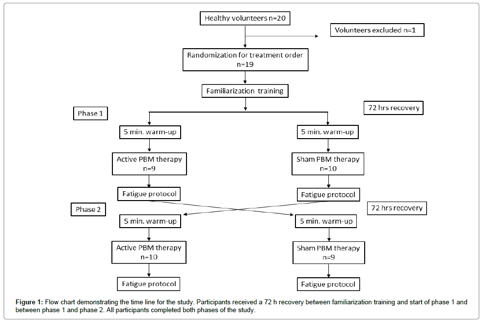 Control Of Muscle Contraction Flow Chart