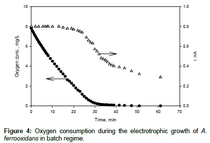 biochemical-bioprocess-engineering-Oxygen-consumption