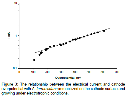 biochemical-bioprocess-engineering-cathode-surface