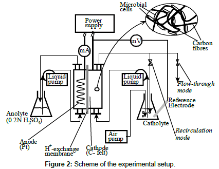 biochemical-bioprocess-engineering-experimental-setup