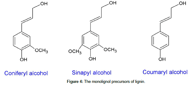 biochemical-bioprocess-engineering-monolignol