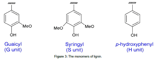 biochemical-bioprocess-engineering-monomers