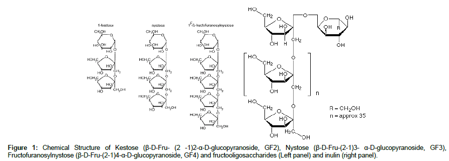 biochemistry-physiology-Chemical-Structure