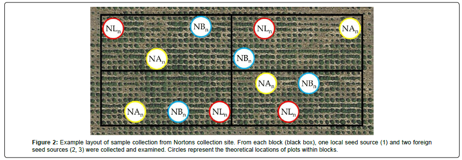 biodiversity-management-Example-layout