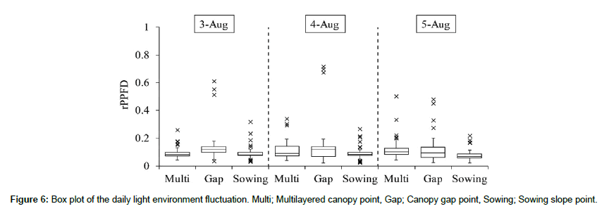 biodiversity-management-Multilayered-canopy