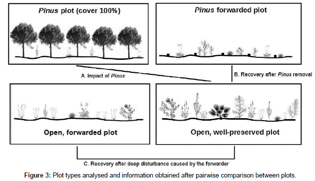 biodiversity-management-Plot-types