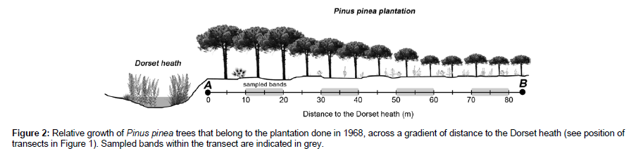 biodiversity-management-Sampled-bands