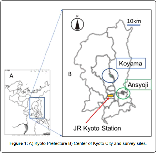 biodiversity-management-forestry-Kyoto-Prefecture