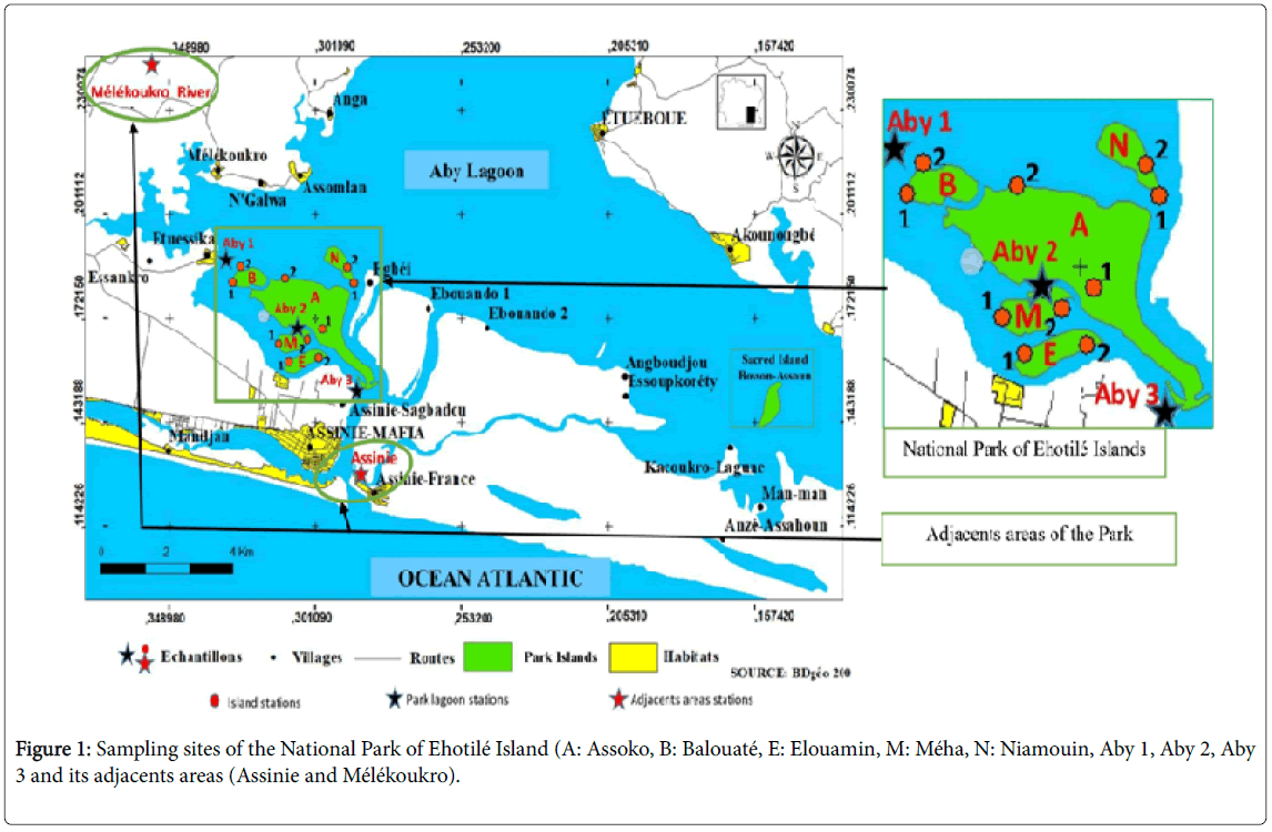 biodiversity-management-forestry-Sampling-sites