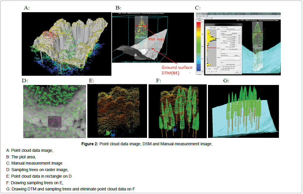 biodiversity-management-forestry-cloud-data