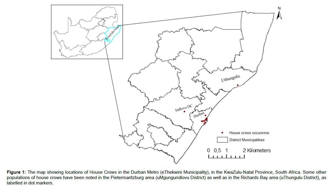 biodiversity-management-forestry-durban-metro