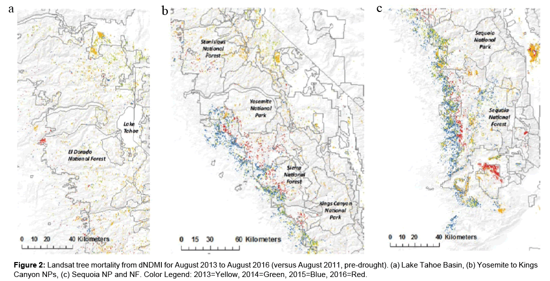 biodiversity-management-forestry-landsat-tree