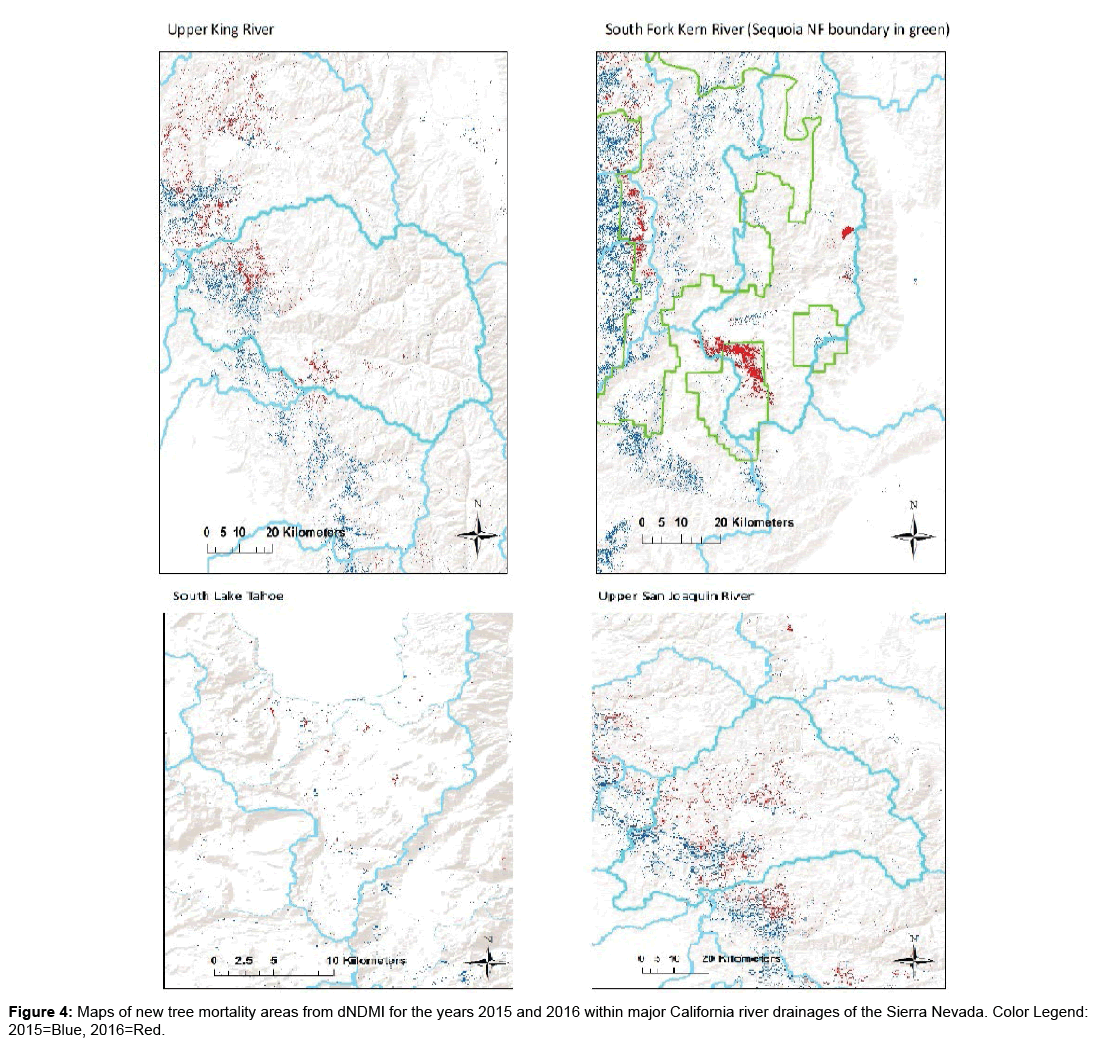 biodiversity-management-forestry-mortality-areas